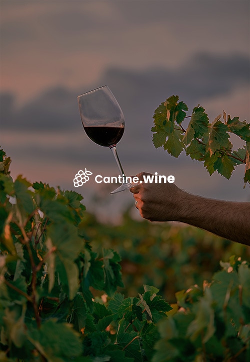 Copertina Slider Case Study Progetto Cantine Wine