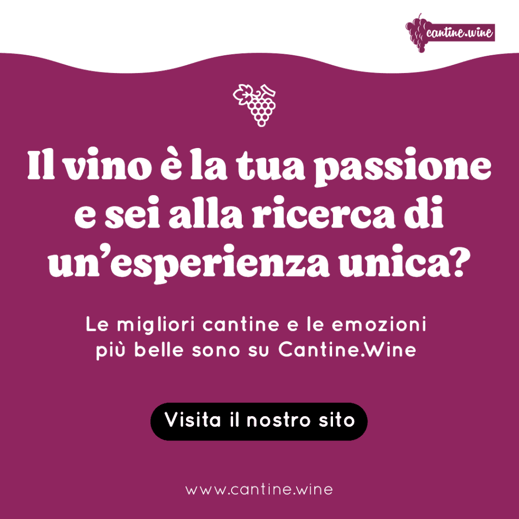 Cantine Wine Case Study Carosello Social 9