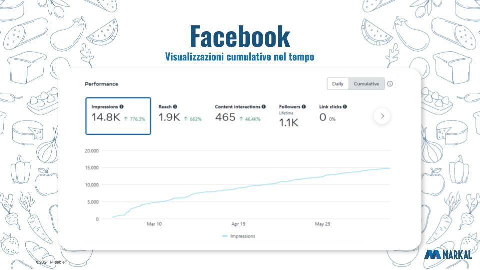 Facebook Markal report